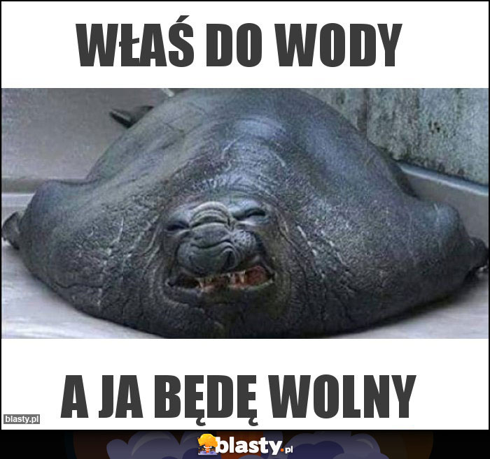 Właś do wody