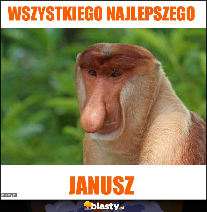 Wszystkiego Najlepszego