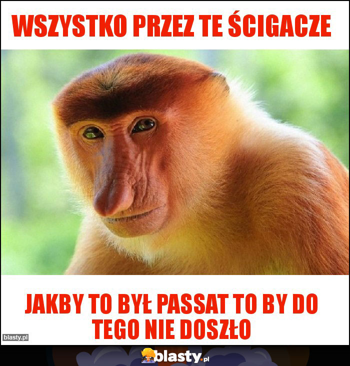 wszystko przez te ścigacze