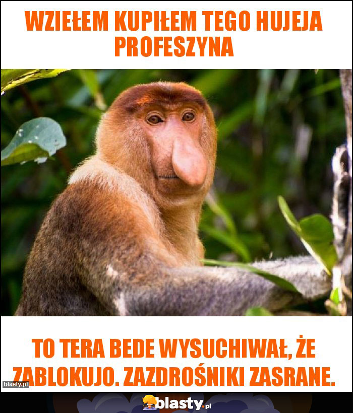 Wziełem kupiłem tego hujeja profeszyna