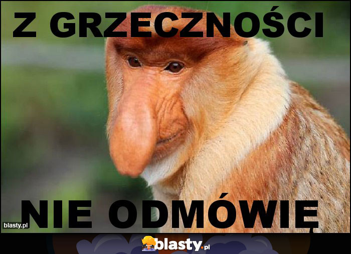 Z grzeczności