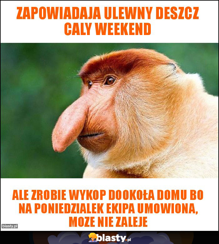 Zapowiadaja ulewny deszcz caly weekend