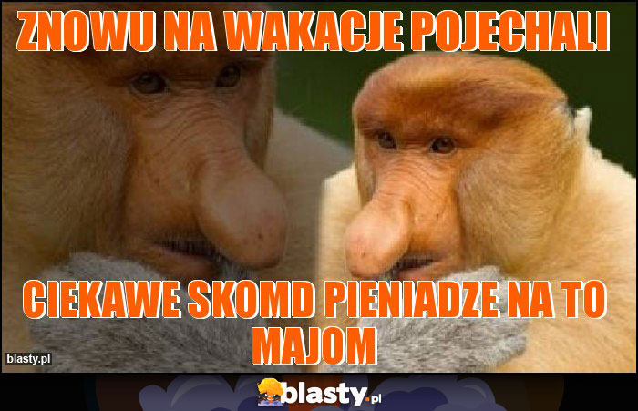 Znowu na wakacje pojechali