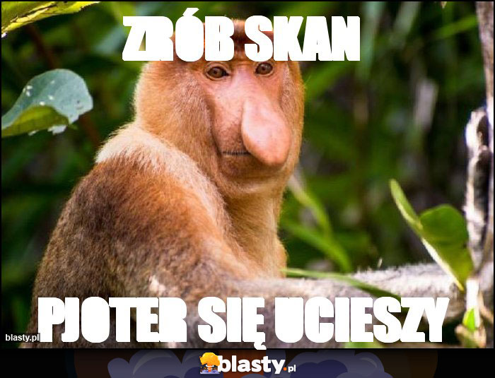 Zrób skan