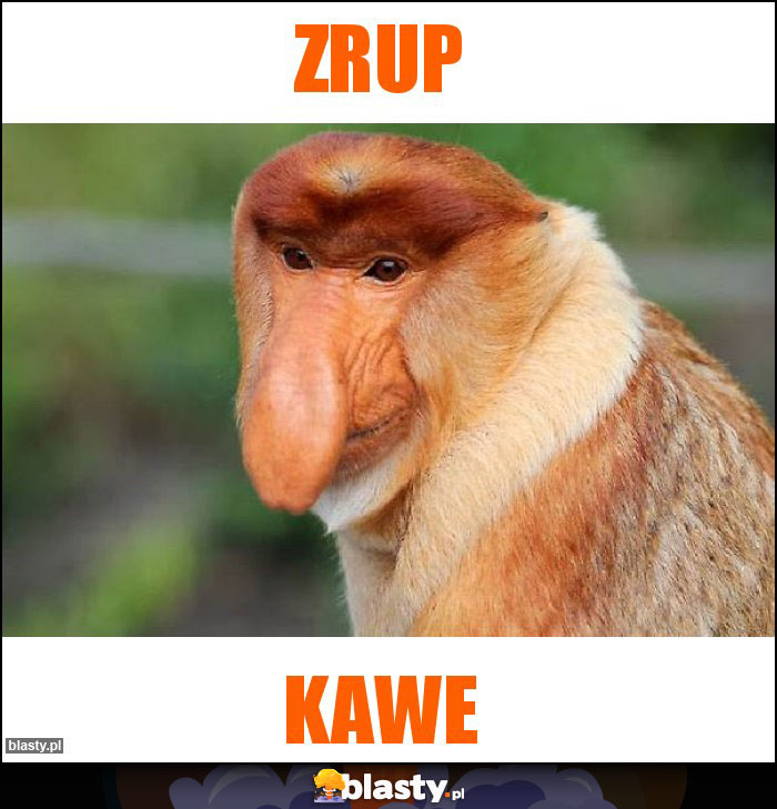 Zrup