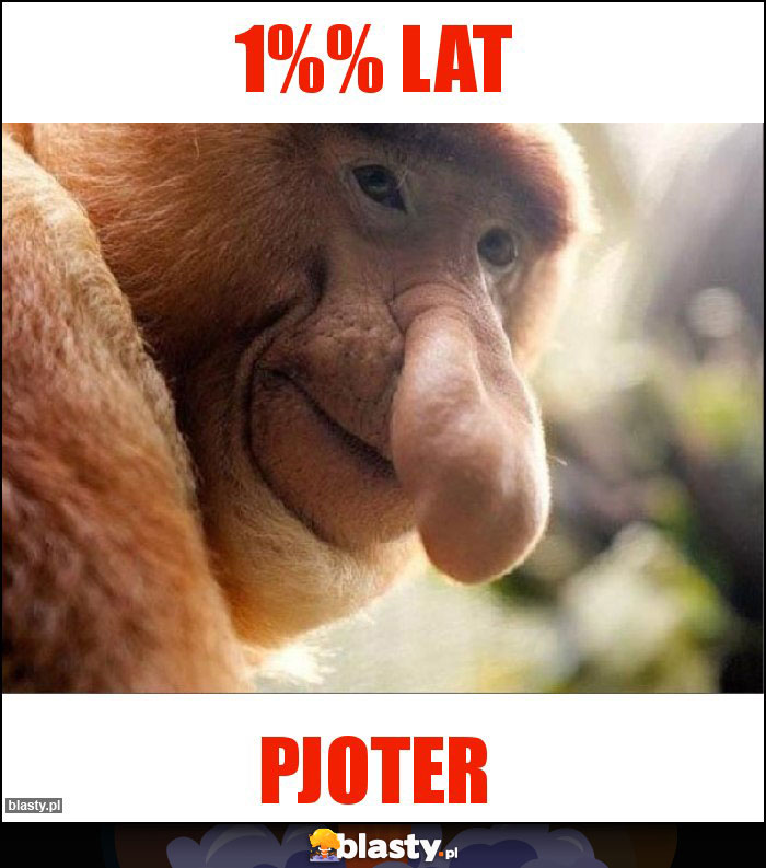 1%% LAT