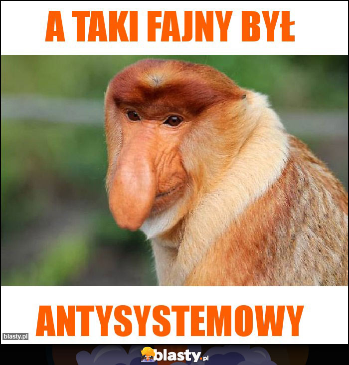 A taki fajny był