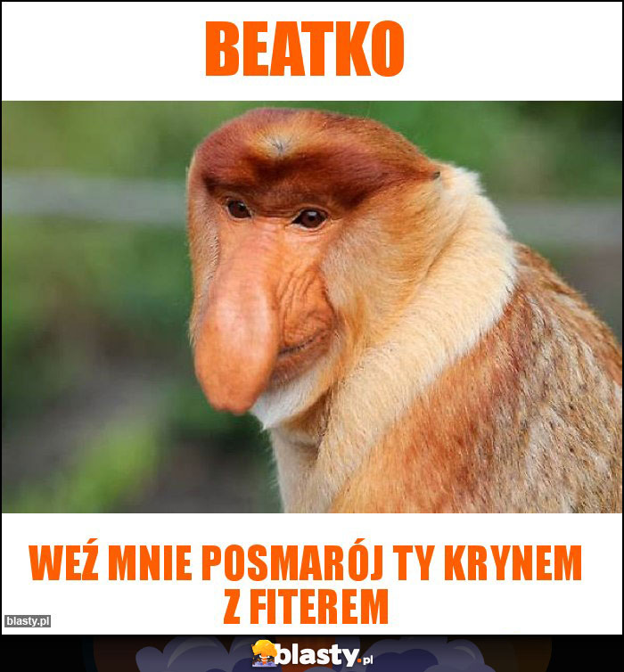 Beatko