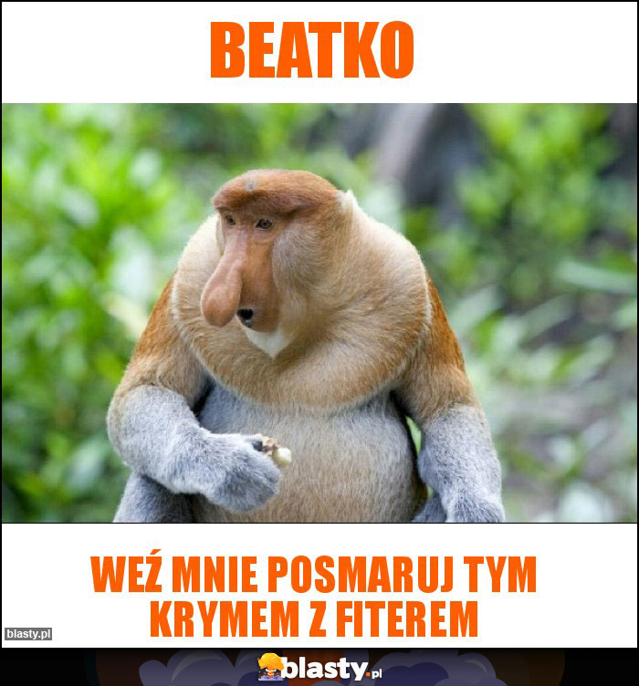 Beatko