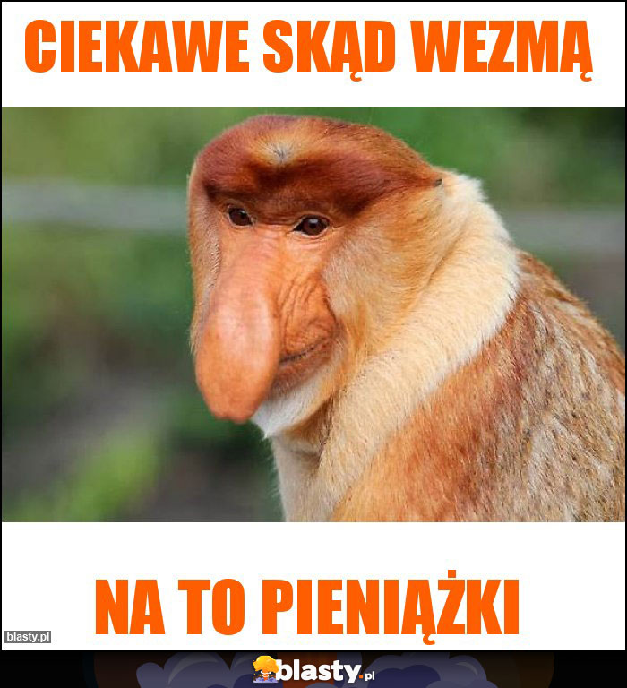 Ciekawe skąd wezmą