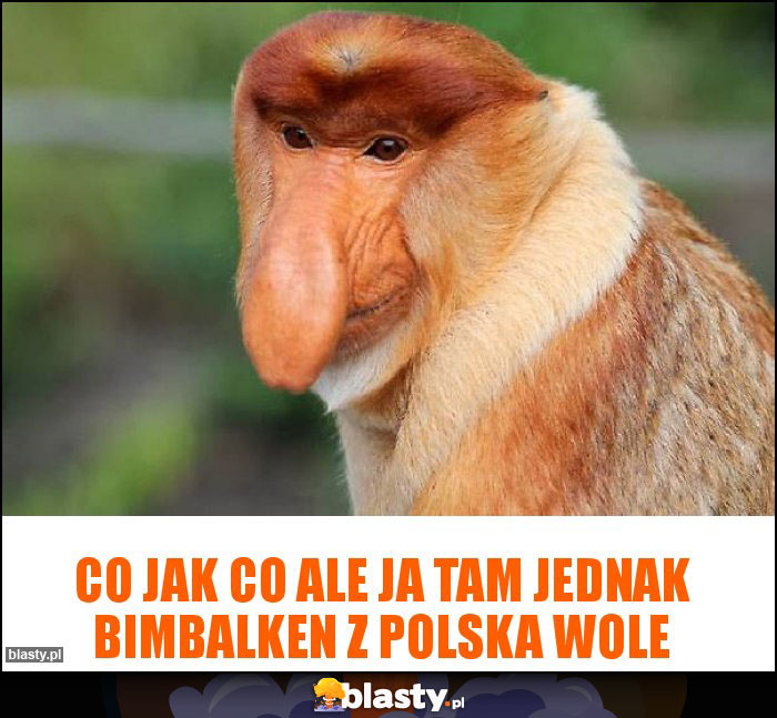 Co jak co ale ja tam jednak bimbalken z polska wole