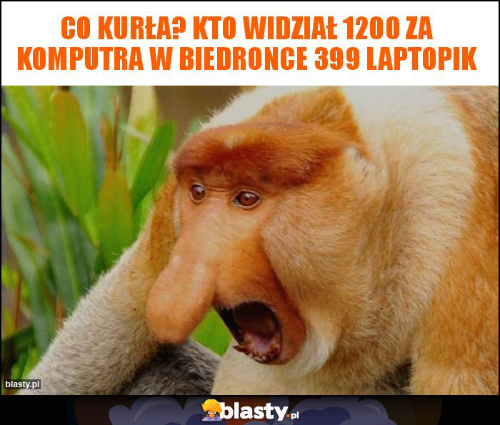 co kurła? kto widział 1200 za komputra w biedronce 399 laptopik