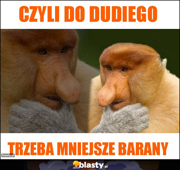 Czyli do dudiego