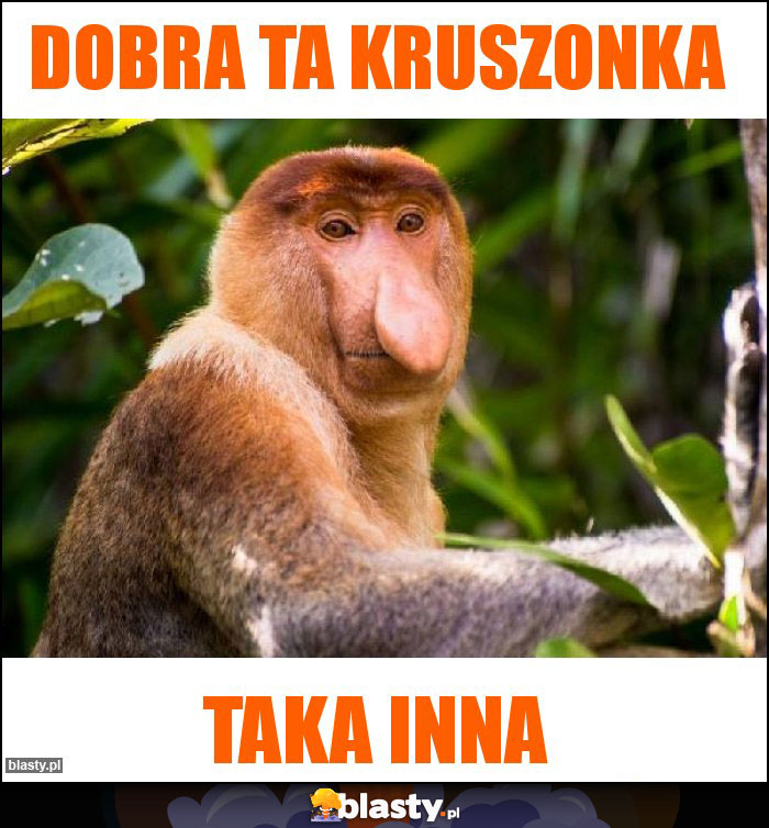 dobra ta kruszonka