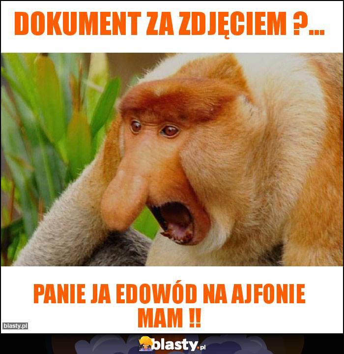 dokument za zdjęciem ?...