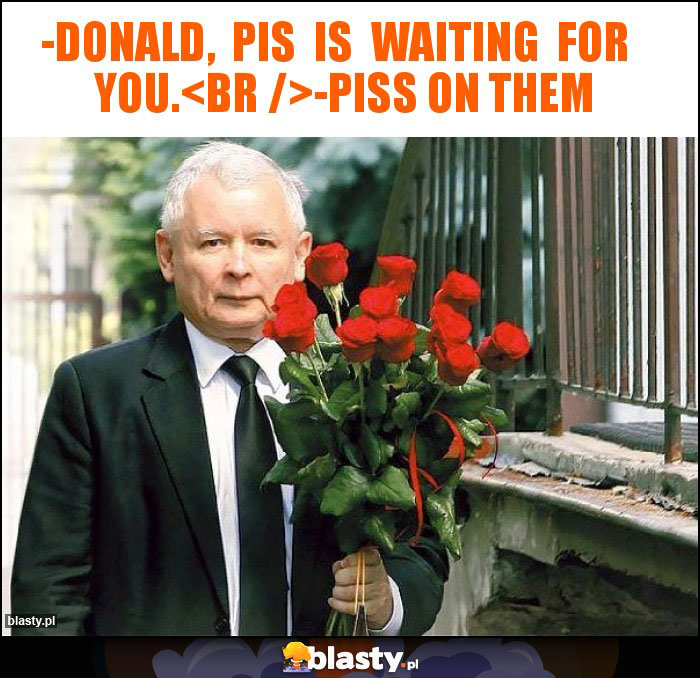 -Donald,  PiS  is  waiting  for   You.
-Piss on them