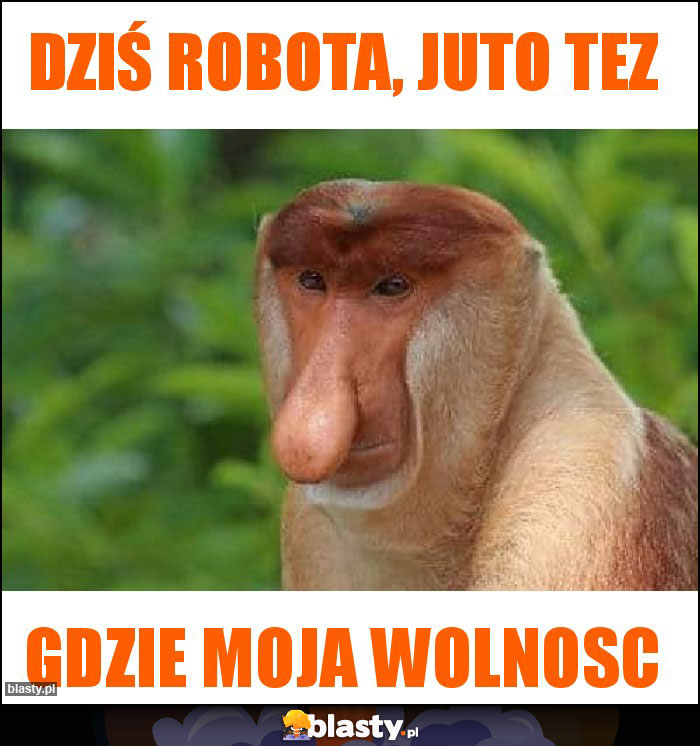 Dziś robota, juto tez