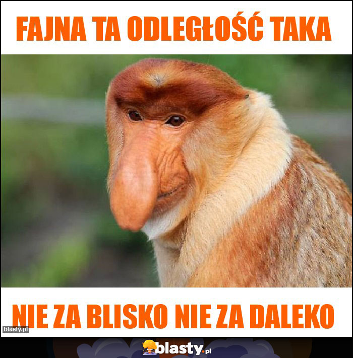 Fajna ta odległość taka