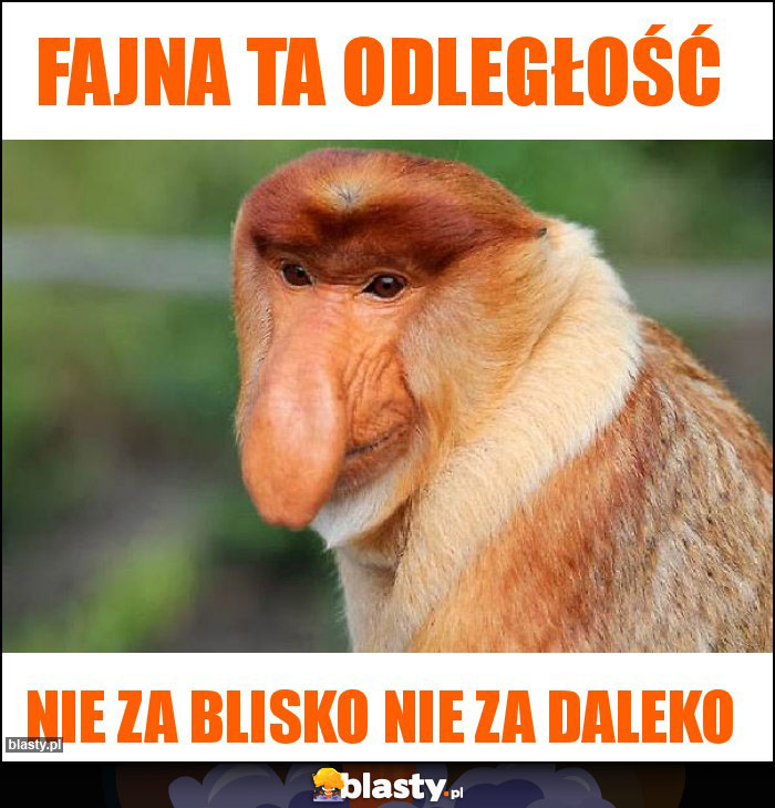 Fajna ta odległość