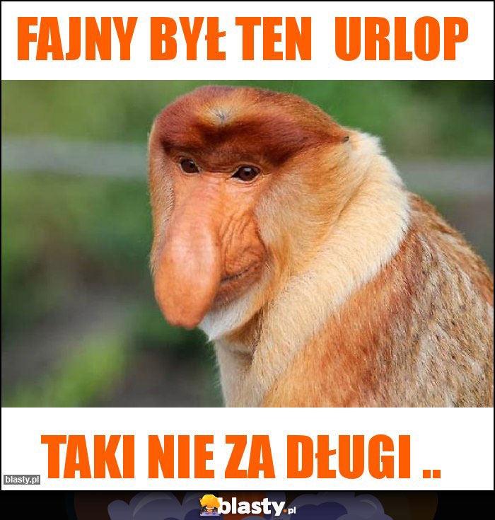 fajny był ten  urlop