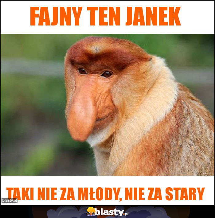 Fajny ten Janek