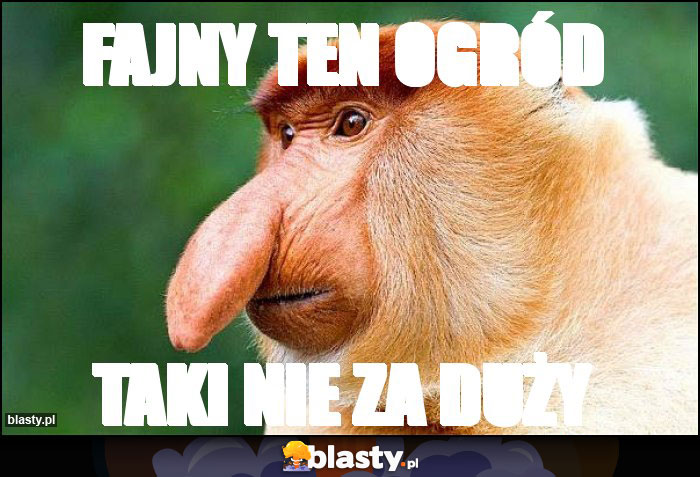 Fajny ten ogród