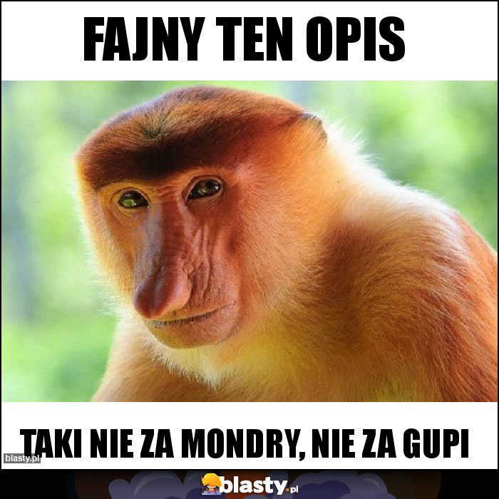 Fajny ten opis