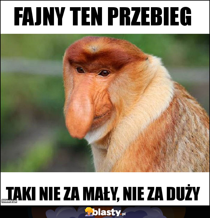 Fajny ten przebieg