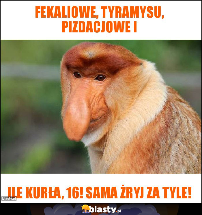 Fekaliowe, tyramysu, pizdacjowe i