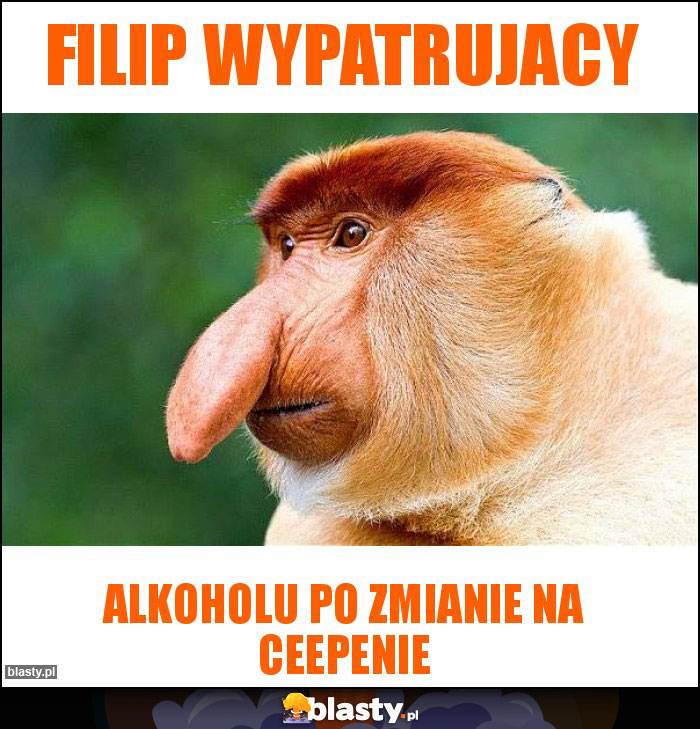 Filip Wypatrujacy