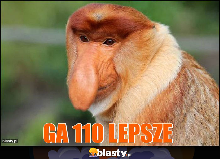 GA 110 lepsze