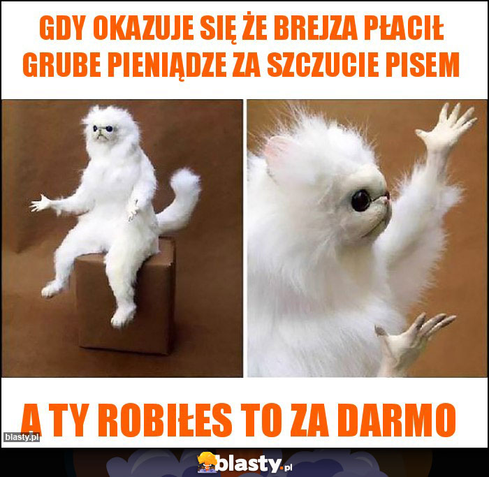 Gdy okazuje się że Brejza płacił grube pieniądze za szczucie Pisem