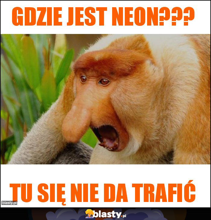 Gdzie jest NEON???