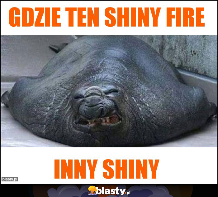 gdzie ten shiny fire