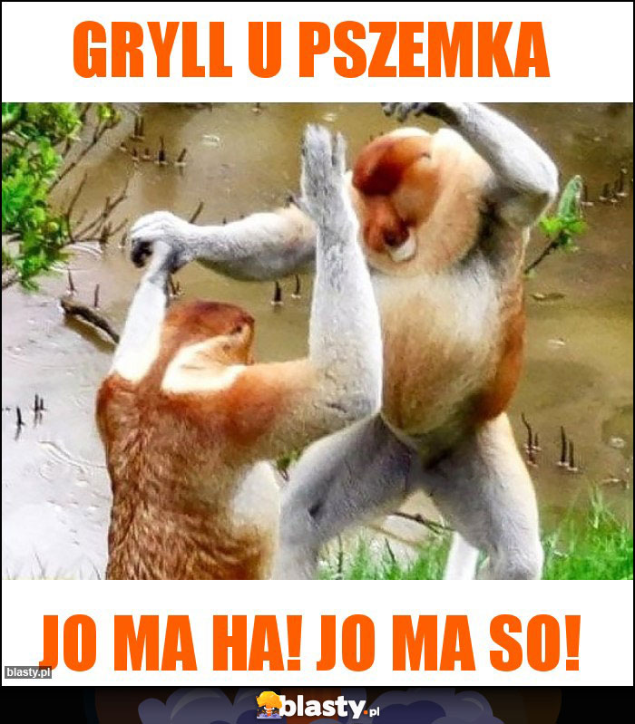 Gryll u Pszemka