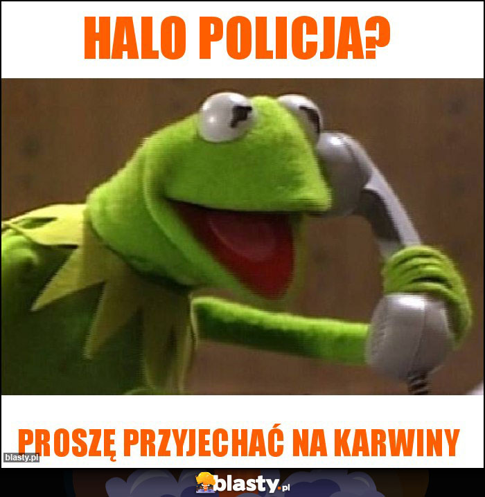 HALO POLICJA?