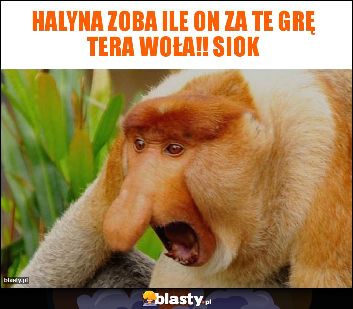 Halyna zoba ile on za te grę tera woła!! Siok