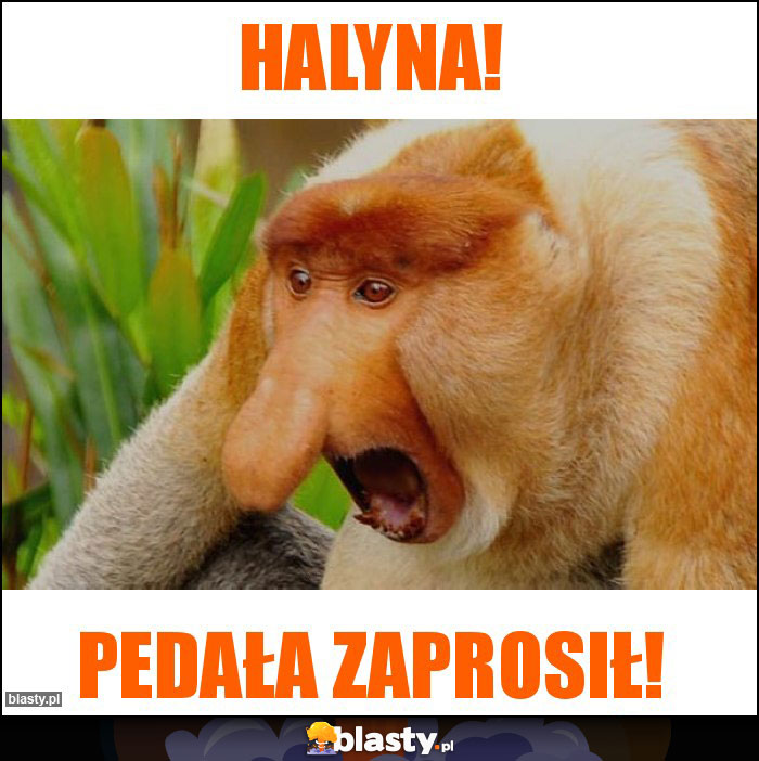 Halyna!