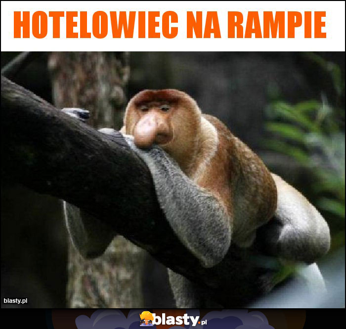 Hotelowiec na rampie