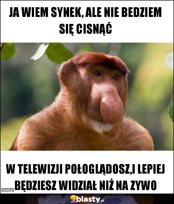 Ja wiem synek, ale nie bedziem się cisnąć