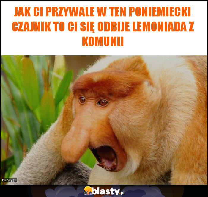 Jak Ci przywale w ten poniemiecki czajnik to ci się odbije lemoniada z komunii