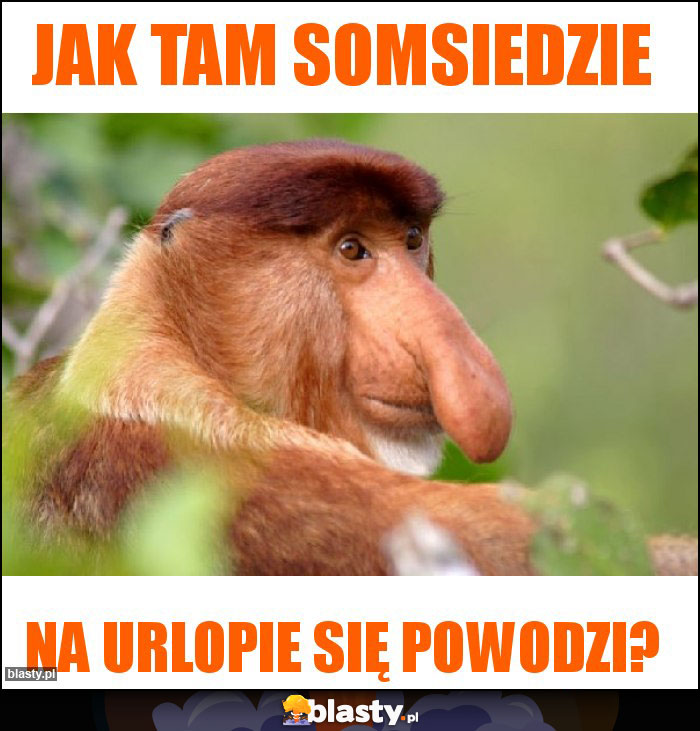 Jak tam somsiedzie