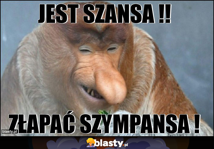 Jest szansa !!