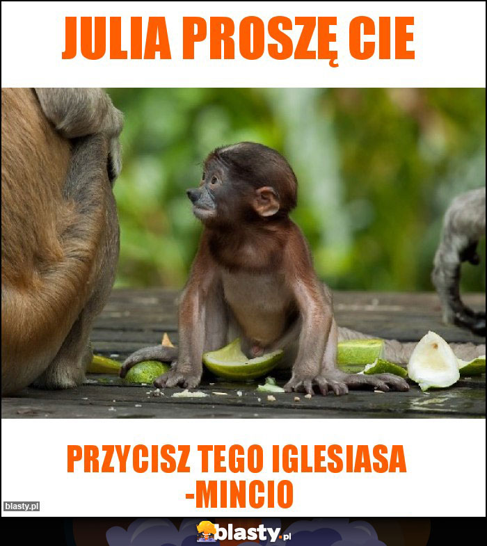 Julia proszę Cie