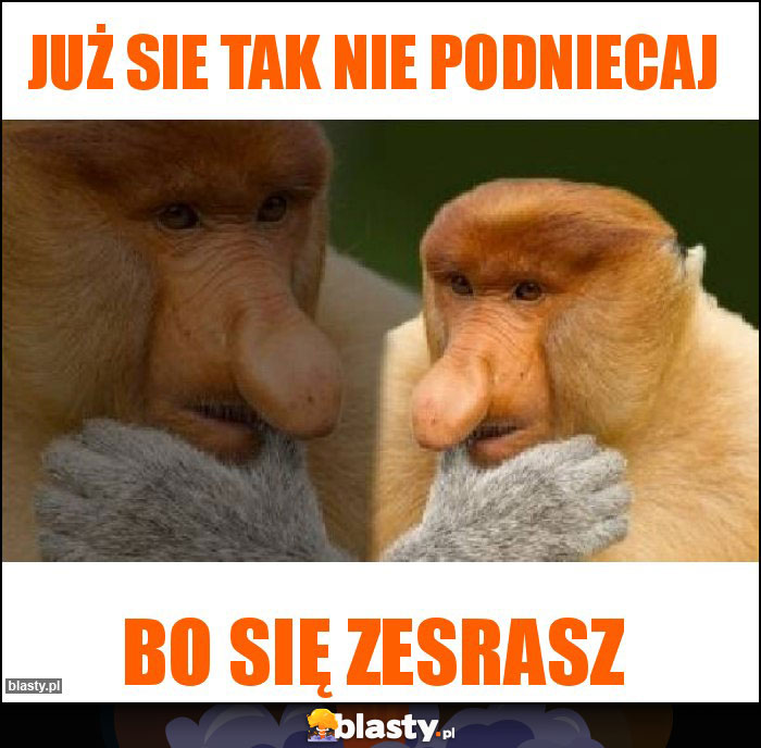 JUŻ SIE TAK NIE PODNIECAJ