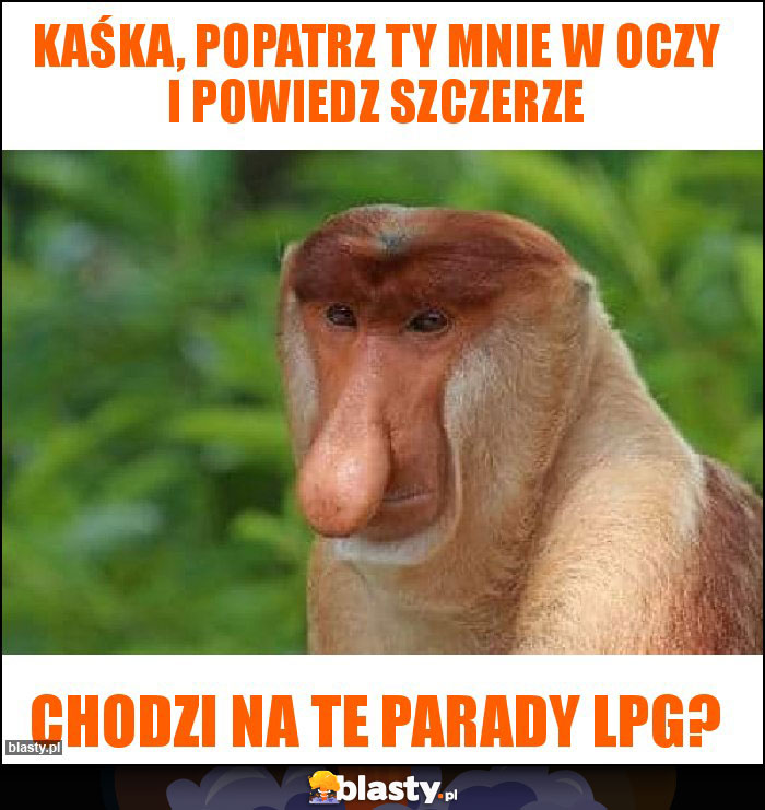 Kaśka, popatrz Ty mnie w oczy i powiedz szczerze