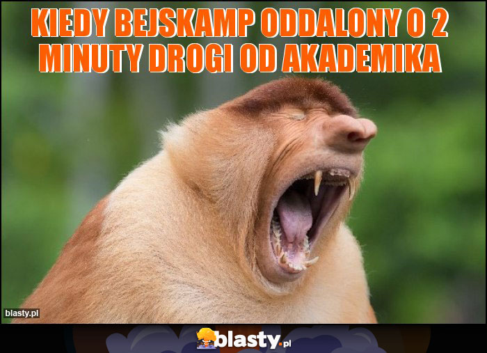 Kiedy bejskamp oddalony o 2 minuty drogi od akademika