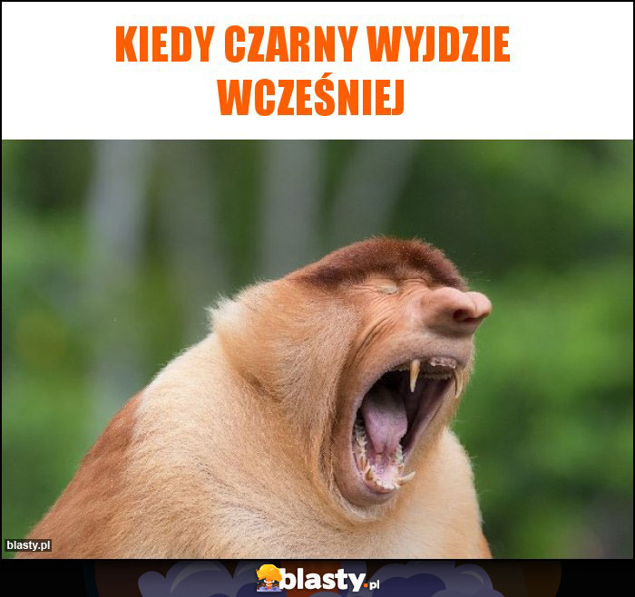 Kiedy czarny wyjdzie wcześniej