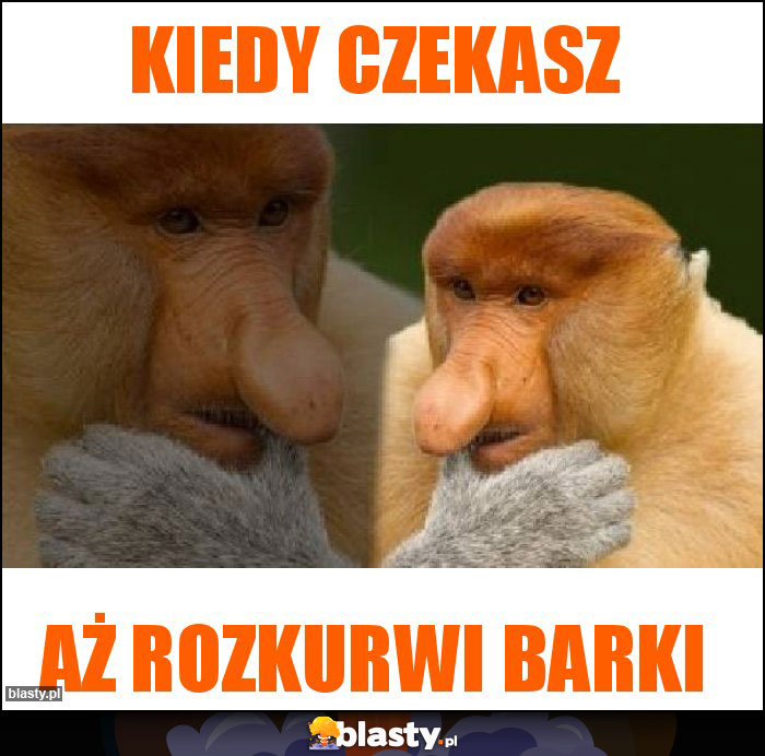 Kiedy czekasz