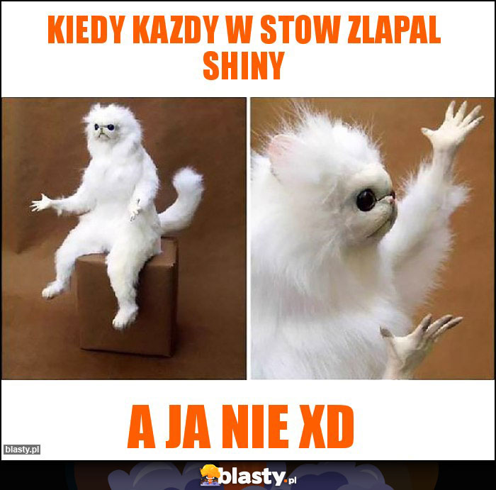 kiedy kazdy w stow zlapal shiny